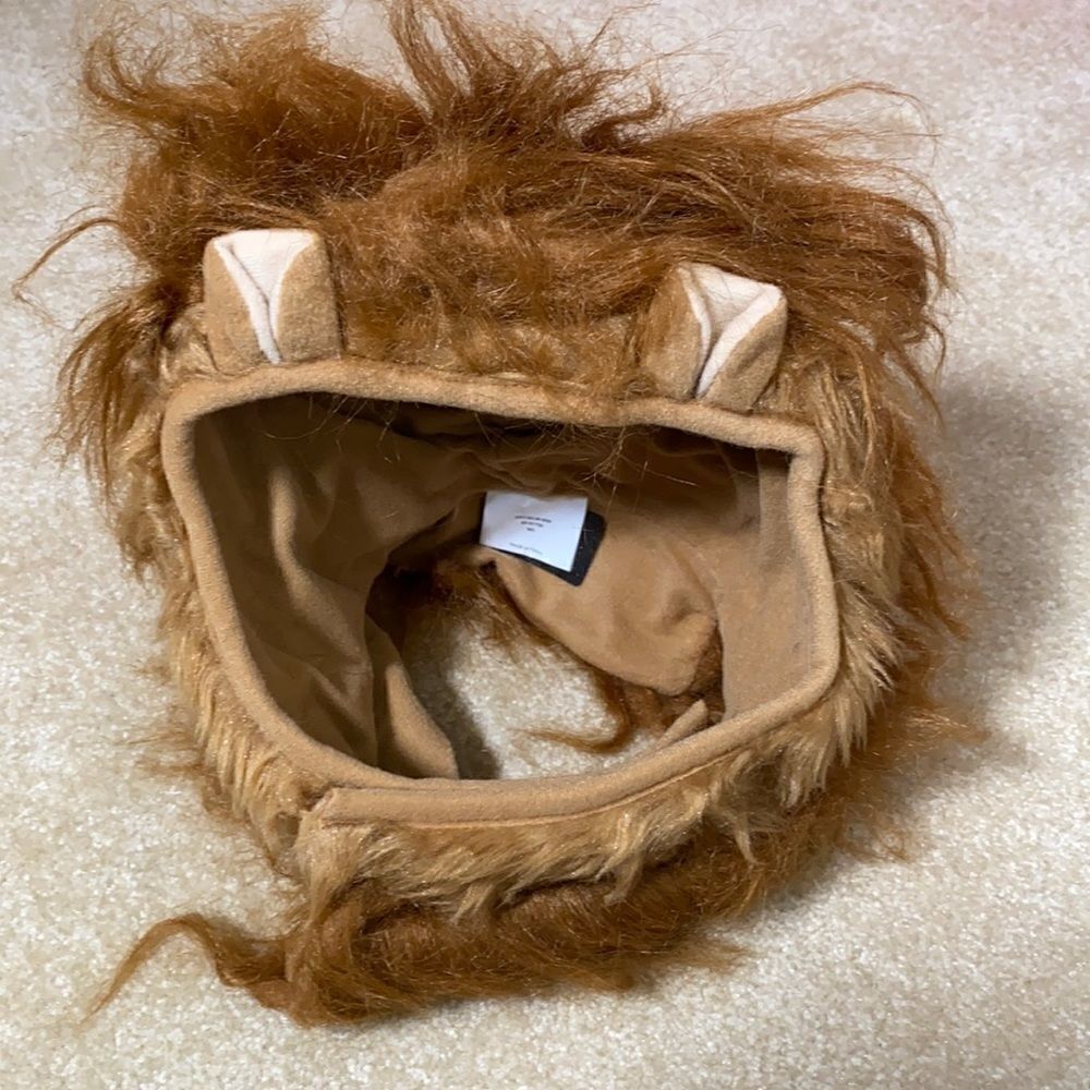 Lion Ruff Dog Costume